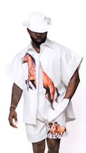 Load image into Gallery viewer, Jolene Exclusive Luxe  Cotten Horse Set Spring/Summer25 SAME DAY SHIPPING
