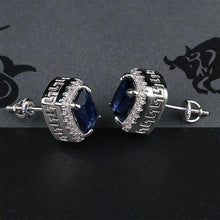 Load image into Gallery viewer, Dubia Earrings - Rich Access
